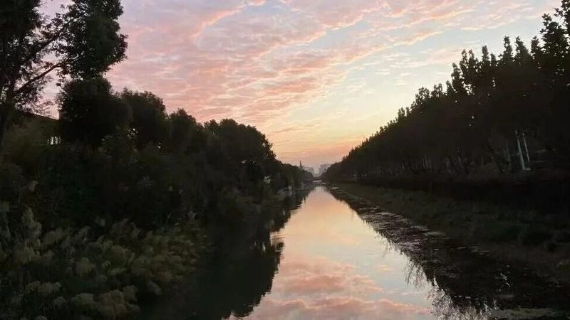 发明专利申请官费减免后多少钱